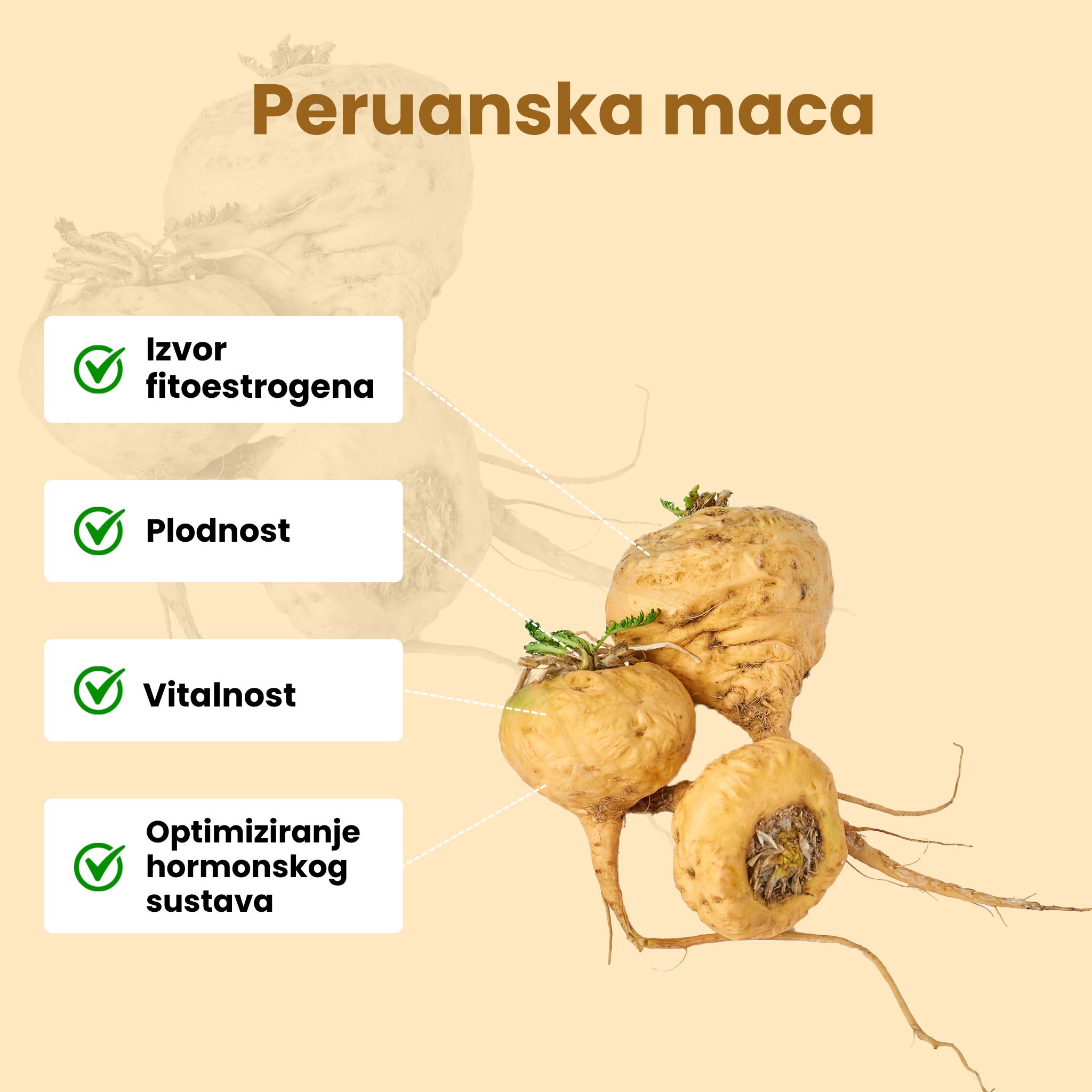 (Chorvatština) Maca peruanska
